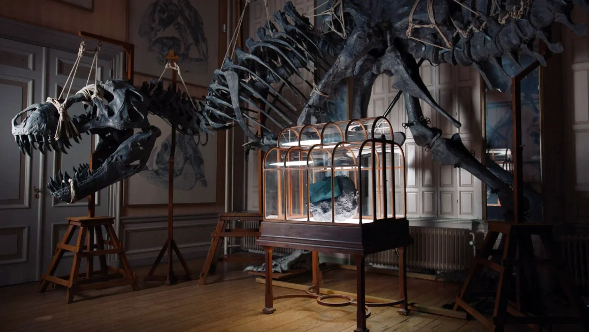 A one-of-a-kind T-Rex Leather handbag displayed in a glass case beneath a large dinosaur skeleton at Art Zoo in Amsterdam.