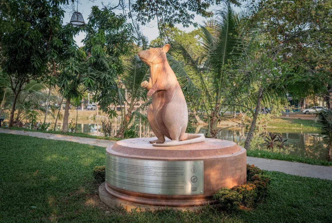 Statue of hero rat Magawa in a park in Cambodia commemorating his landmine detection work