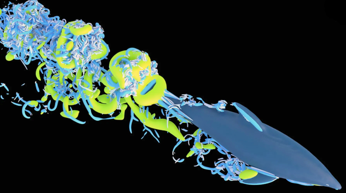 Dolphin vortex rings forming behind the tail in a fluid simulation